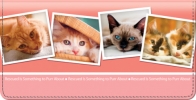 Click on Rescued is Something to Purr About Checkbook Cover For More Details