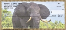 Click on Elephants  Checks For More Details