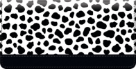Click on Cow Pattern Checkbook Cover For More Details