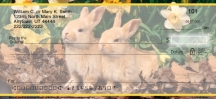 Bunnies  Personal Checks