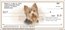 Best Breeds - Yorkshire Terrier Checks