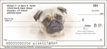 Best Breeds - Pug  Personal Checks