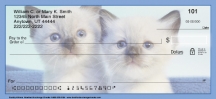 Click on Cuddly Kittens  Checks For More Details