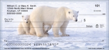 Polar Bears  Personal Checks