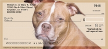 Faithful Friends - Pit Bull Checks