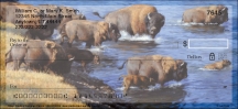Bison