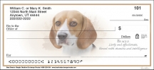 Best Breeds - Beagle  Personal Checks