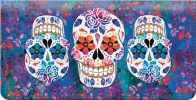 Click on Day of the Dead Checkbook Cover For More Details