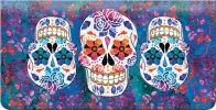 Day of the Dead Checkbook Cover