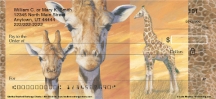 Giraffes  Checks