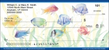 Click on Fish Checks For More Details