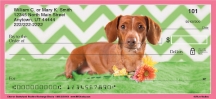 Chevron Dachshund 