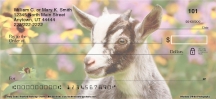 Click on Goats Checks For More Details