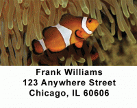 Click on Tropical Fish Address Labels For More Details