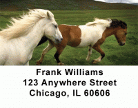 Click on Horses Address Labels For More Details