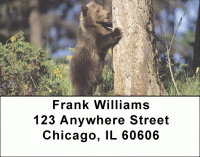 Click on Grizzly Bear Cubs Address Labels For More Details