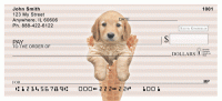 Click on Gelato Pups Keith Kimberlin Checks For More Details