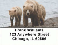 Click on Grizzly Bears in the Wild Address Labels For More Details