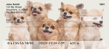 Lovable Chihuahuas  Personal Checks