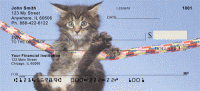 Click on Maine Coon Kittens Checks For More Details