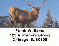 Click on Elk Address Labels For More Details
