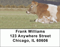 Click on Bonding Baby Calves Address Labels For More Details