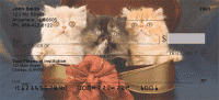 Click on Persian Kittens Checks For More Details