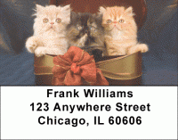 Click on Persian Kittens Address Labels For More Details
