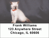 Click on Birman Kittens Address Labels For More Details