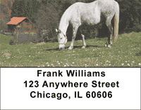 Click on Grazing Freedom Address Labels For More Details