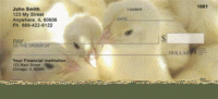 Click on Barnyard Babies Checks For More Details