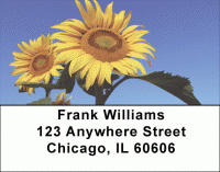 Click on Joyous Sunflowers Address Labels For More Details