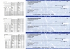 Click on Blue Marble Payroll Business Checks For More Details
