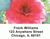 Click on Flowers Address Labels For More Details