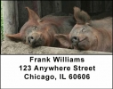 Barnyard Friends Address Labels