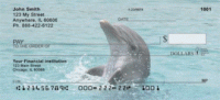 Click on Dolphins Checks For More Details