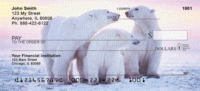 Click on Polar Bears Checks For More Details