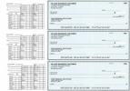 Click on Teal Safety Payroll Business Checks For More Details