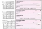 Click on Pink Safety Payroll Business Checks For More Details