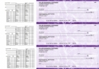 Purple Marble Payroll Business Checks