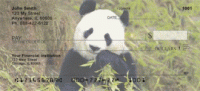 Click on Panda Bears Checks For More Details