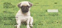 Click on Pugs At The Park Checks For More Details