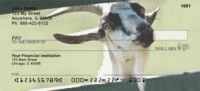 Click on Goats Checks For More Details
