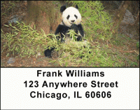 Click on Panda Bears Address Labels For More Details