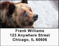 Click on Grizzly Bears Address Labels For More Details