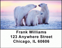 Click on Polar Bears Address Labels For More Details