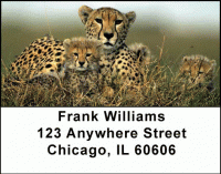 Click on Big Cat Babies Address Labels For More Details