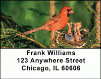 Click on Baby Birds Address Labels For More Details