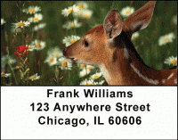 Click on Baby Deer Address Labels For More Details