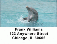 Click on Dolphins Address Labels For More Details